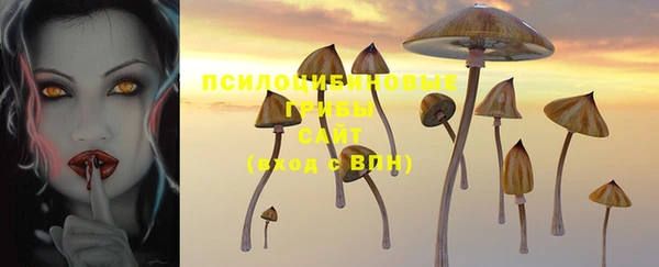 гашик Аркадак