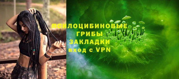 гашик Аркадак